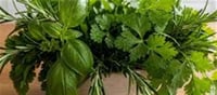 How to Keep Herbs Fresh Longer: 10 Clever Kitchen Hacks That Actually Work